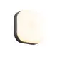 ^LED SMD WALL LUMINAIRE 10W 630LM 120° 230V AC 3.000K DARK GREY CRI80 IP65 30.000HRSS