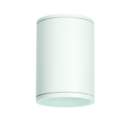 ^E27 PAR30 КРЪГЪЛ ПЛАФОН 230V AC МАТОВО БЯЛ IP65 MAX.35W