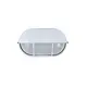 КОРАБНА ЛАМПА БЯЛА IP54 E27 60W RAL C3619M