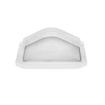 WALL LAMP WHITE IP54 60W   RAL C3619M