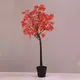 ^SUGAR MAPLE TREE 96 WW LED ADAPT:24V IP44 H:180cm POT 5m LEAD CABLE ^
