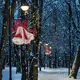 ДВОЙНИ КАМБАНИ С ЛЪК 468 LED УЛИЦА ПОЛЮС МОТИВ 13 м 2-ТЕЛЕНО ВЪЖЕ СВЕТЛО ЧЕРВЕНО & CW СТАБИЛНО IP65 80x80cm 1.5m ОЛОВО КАБЕЛ - изображение 2