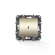 PRIME 1 GANG 2 WAY SWITCH & LED CONTROL LAMP (ON-ON) SCREWLESS 1P 10AX 250VAC IP20 MATT CHAMPAGNE
