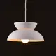 PENDANT 1ΧΕ27 METALIC WHITE D29XH120CM AEOLUS - изображение 2