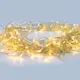 ^ 50LED НИЗ СВЕТЛИНИ БАТЕРИЯ (2xAA), WW СТАБИЛЕН, IP20, 490 + 30cm, TRAN / НАЕМ ОЛОВО КАБЕЛ