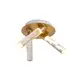 OASIS – комплект от 3 таванни лампи от пясъчно бял алуминий, LED COB 22W, CCT, 1100 lm, IP20, 396 × 396 × 225 мм