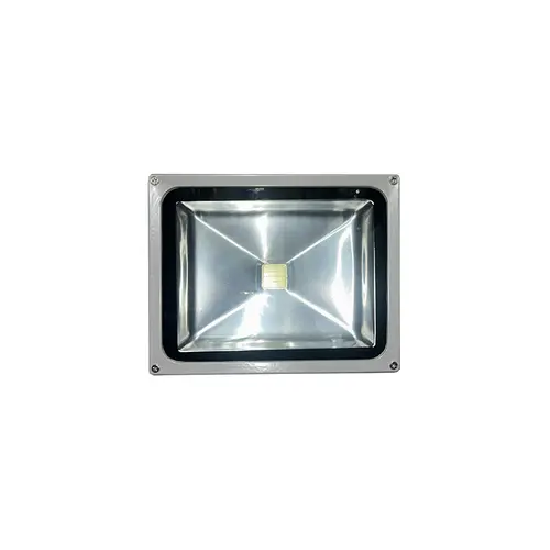 LED PROJECTOR 30W 6500K 12V DC